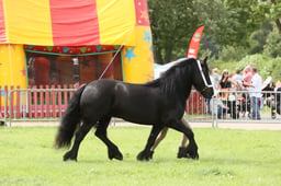 E34_2775 2026