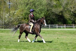 M19_0522 2026