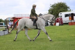 M36_3056 2026