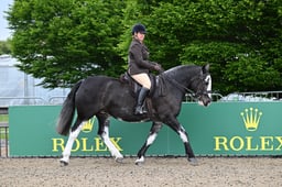 A29_0528 2026