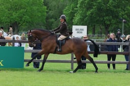 S30_3493 2026