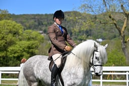 54 M&M Confined Novice Fell Dales High