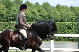 H179 TSR Amateur M&M Ridden