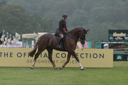 Ridden Hunter Championship