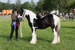 130-127 Coloured Championship