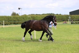 J36_7819 2026