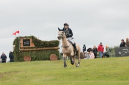 E39_3432 2026