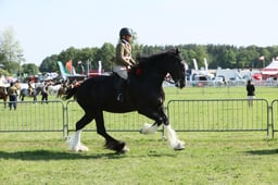 E33_0504 2026