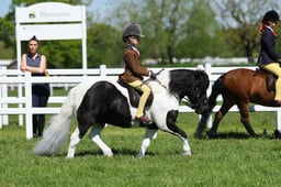 07 HOYS JNR Ridden M&M Small Breeds