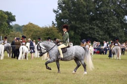 29 HOYS M&M Ridden Welsh