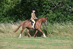 S60_0055 2026