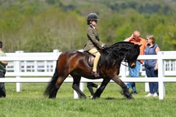 H19_0660 2026