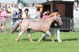 C33_0270 2026