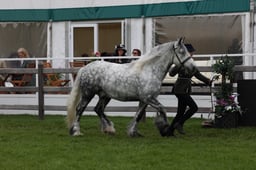 W29_0862 2026