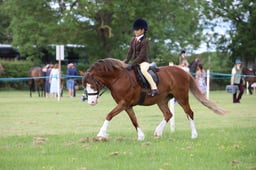 W36_0597 2026