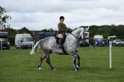 E36_0728 2026