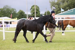 E45_1050 2026