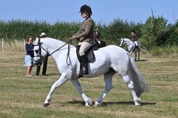 S60_0494 2026