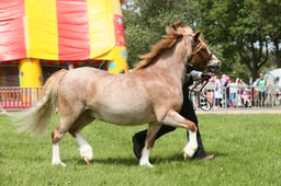 E34_1476 2026