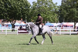E42_3104 2026