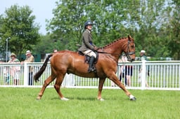 F34_2071 2026