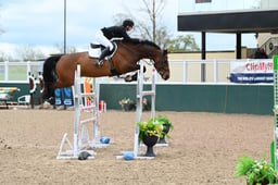 CL15 Senior Foxhunter