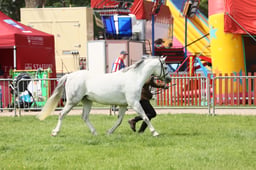 E34_1934 2026