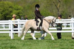 H19_0578 2026