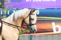 580 HOYS Ridden Welsh B