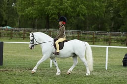E30_4535 2026