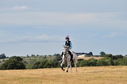 C57_0998 2026