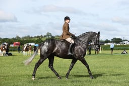 E36_0364 2026