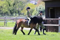 C19_1604 2026