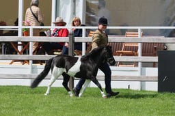 S28_8821 2026