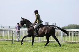C34_0700 2026