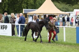 E31_0890 2026