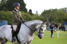 38 Amateur Riding Horse