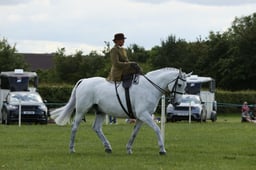E36_2097 2026
