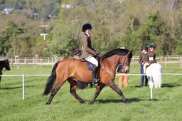 C19_0442 2026