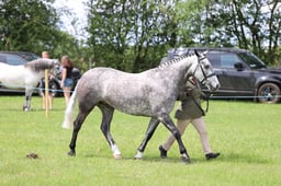 J36_6802 2026