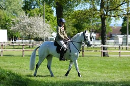 M19_0725 2026