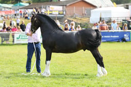 E69_1293 2026