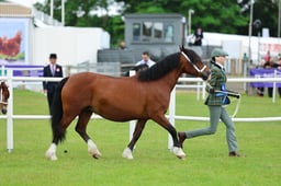 C45_1740 2026