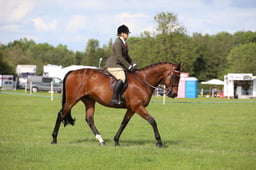 W36_2461 2026