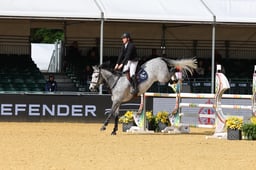 H28_2982 2026