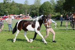 C34_0403 2026