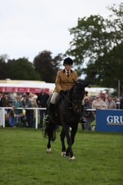 E30_3340 2026