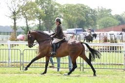 C34_1734 2026