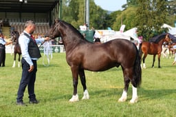 E69_0504 2026