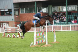 Show Jumping Accumulator